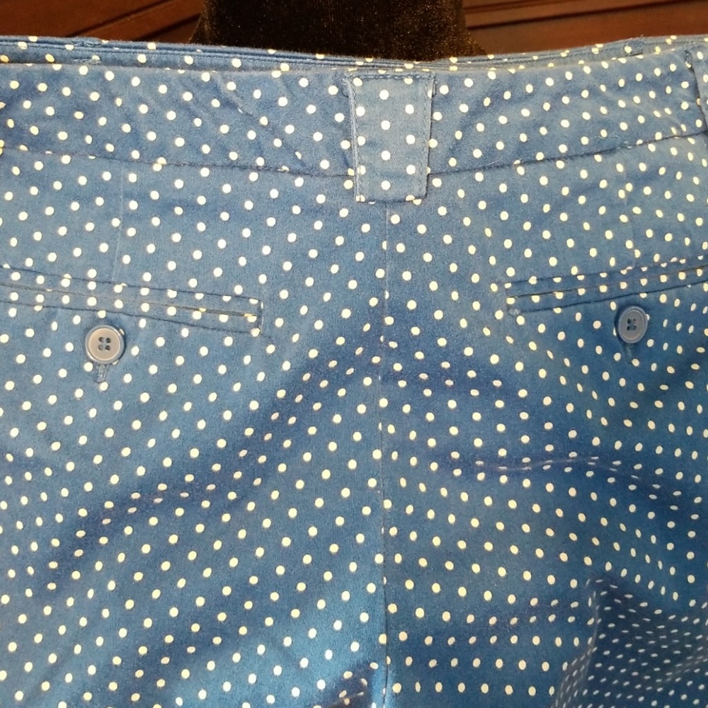 Capri Dotted Pants - Picture 3 of 3